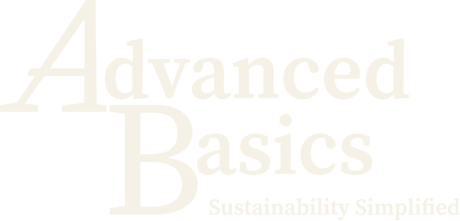Advanced Basics — Sustainability Simplified