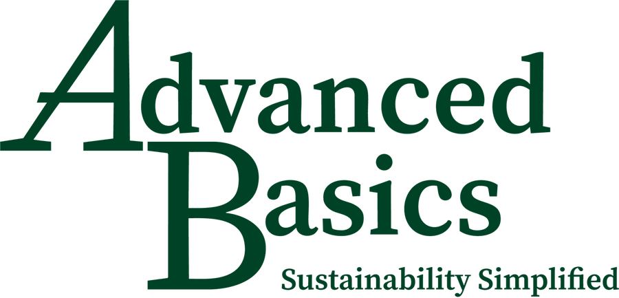 Advanced Basics — Sustainability Simplified